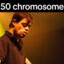 50 Chromosome