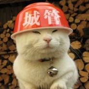 买完游戏第二天就打折