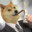 Dogeman
