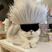 Catoru Soju - steam id 76561198159641839
