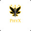 PhyX