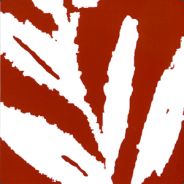 minus's Avatar