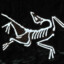 Arcteryx