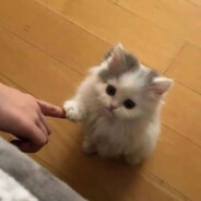 тяночка :3