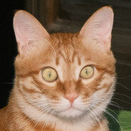 aaa狗蛋儿碎碎念