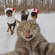 专打瘸子那条好腿