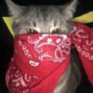 Гена турбодизель