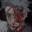 ˢᵃ⁶⁶ᵃᵗʰ