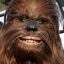 shewbacca93