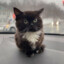 Artyom