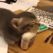 Чарон4ик_Baby