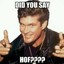 David Hasselhoff