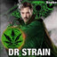 Dr. Strain