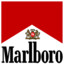 Kırmızı Marlboro