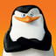 skipper