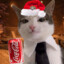 Новогодний Кот