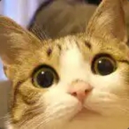 高端的敌人往往以队友的形式出现