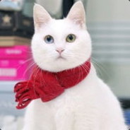 电竞法王杨永信