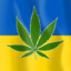 Пизда боол