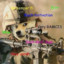 Pte_doge