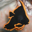 Platax Pinnatus