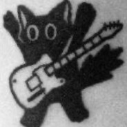 RaccoonVibezz