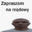 ŁysaGlancaRDM