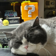 我直接sorry全场