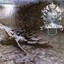 Avatar of player крутой поц