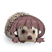 抹茶
