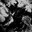 Aliredus's Avatar