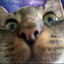 Avatar of Nygren