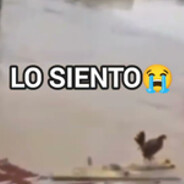 Lo Siento, Wilson