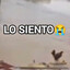 Lo Siento, Wilson