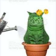 _14_ns_mapa_mamkoeb_88_