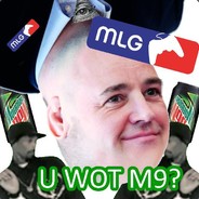 ogg1337 * BIEDRONKA