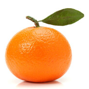 oreots avatar