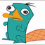 Mr.Perry