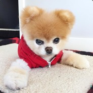 Underwear Vending Machine - steam id 76561197964453826