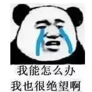 我永远喜欢A—Pi