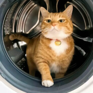 NOT the real IRY btw