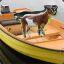 Goat in a boat