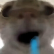 传奇飞鹰驾驶员佐巴扬