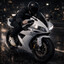 SilentR1