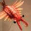 Anomalocaris