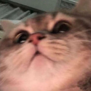 玩的很菜你忍一下