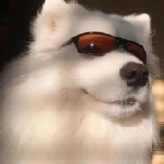 向日葵射手突突突