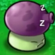 🟣🟣 🟣 🟣 🟣 🟣