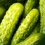 gherkin gaming