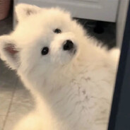 試圖用偵查信標尋找你卻看到你和他在一起